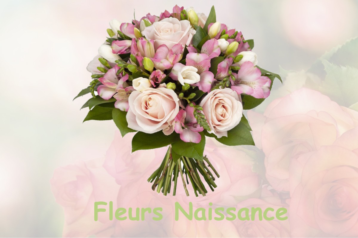 fleurs naissance LE-COUDRAY-MACOUARD