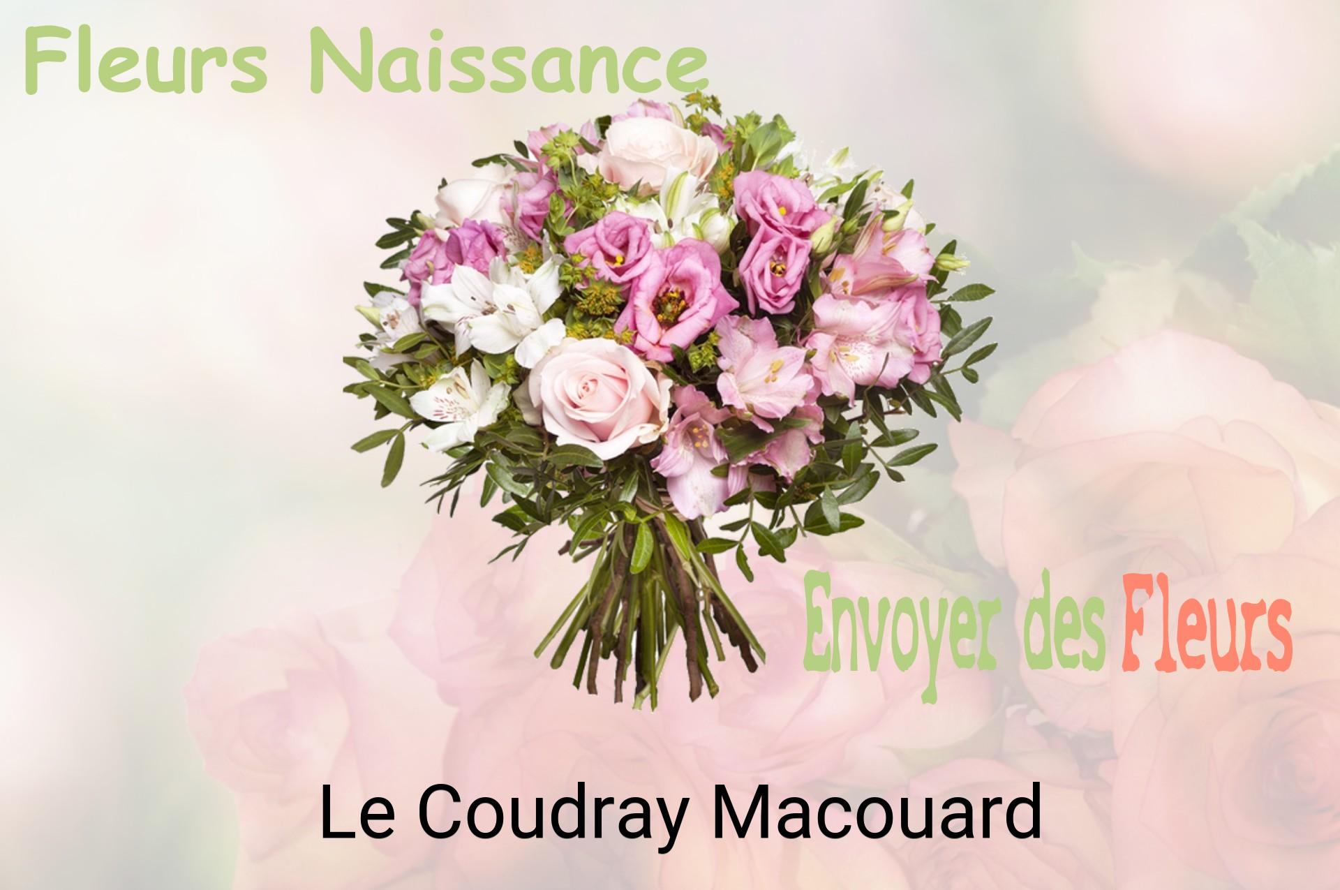 Bouquet de fleurs de naissance livré à Le Coudray-Macouard